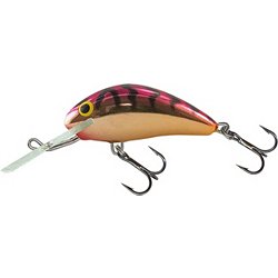 Jerk Baits for Reactive Fishing - Page 14 - D&R Sporting Goods