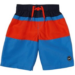 Speedo Boys' Colorblocked 17” Board Shorts