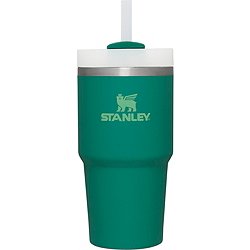 New stanley tumbler release at Dicks Sporting Goods! 30 Oz Lavender 💜, lavender stanley cup