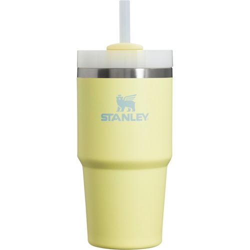 Stanley 20 oz. Quencher H2.0 FlowState Tumbler | Dick's