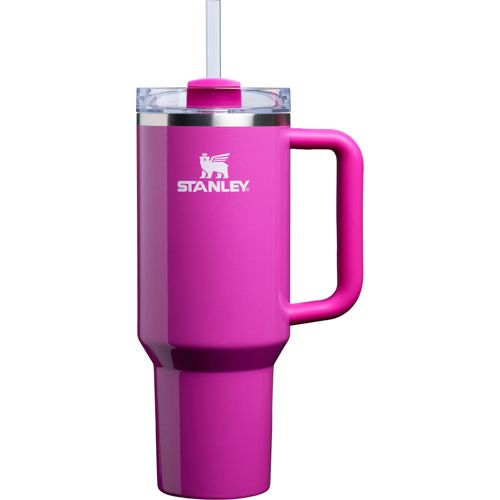 Stanley All Day 40 oz. Quencher Carry-All | Dick's Sporting