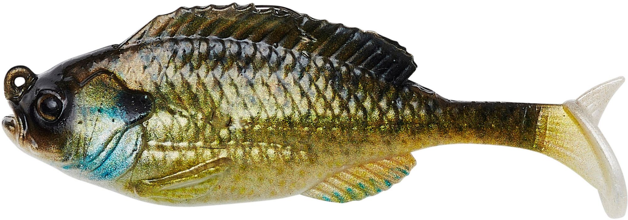 Bream