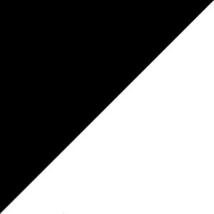 Black/White