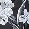 Ethereal Blooms