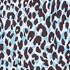 Leopard Coast