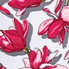 Sweet Magnolia