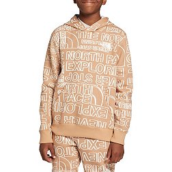 The North Face Kids\' Hoodies & Sporting | Goods Sweatshirts DICK\'S