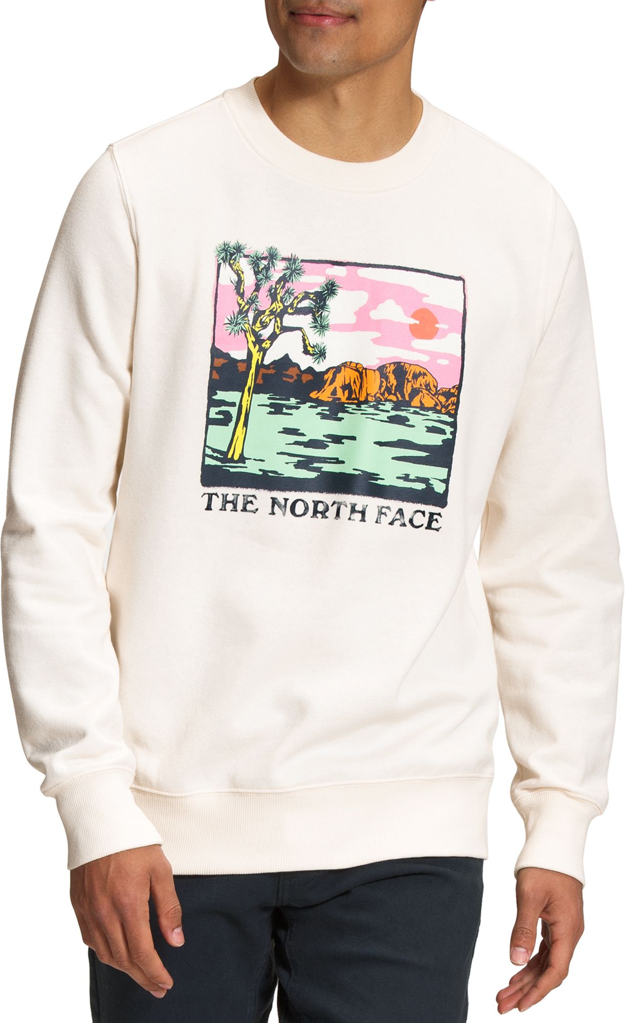 The North Face Men's Injection Crew Sweatshirt