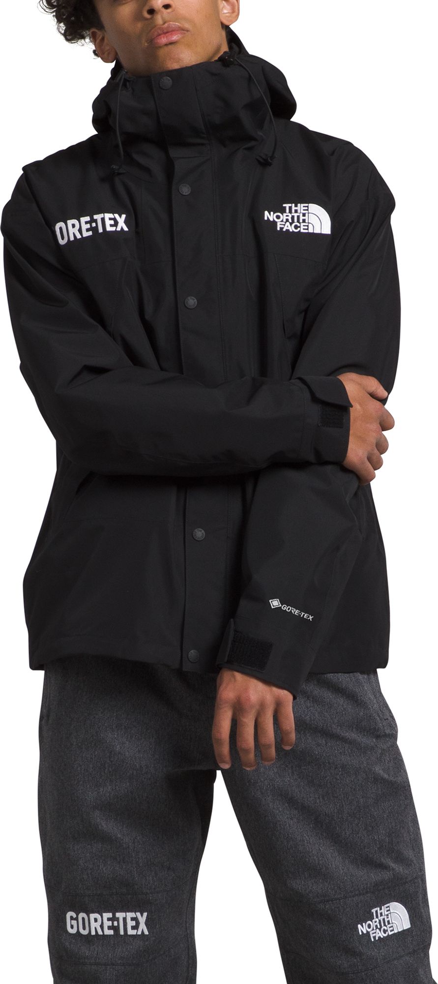 The North Face Men's GORE-TEX Mountain Jacket