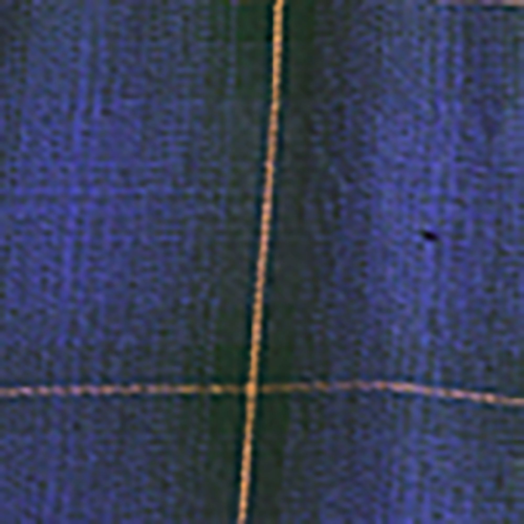 Pine Needle L Hd Shdw Pld