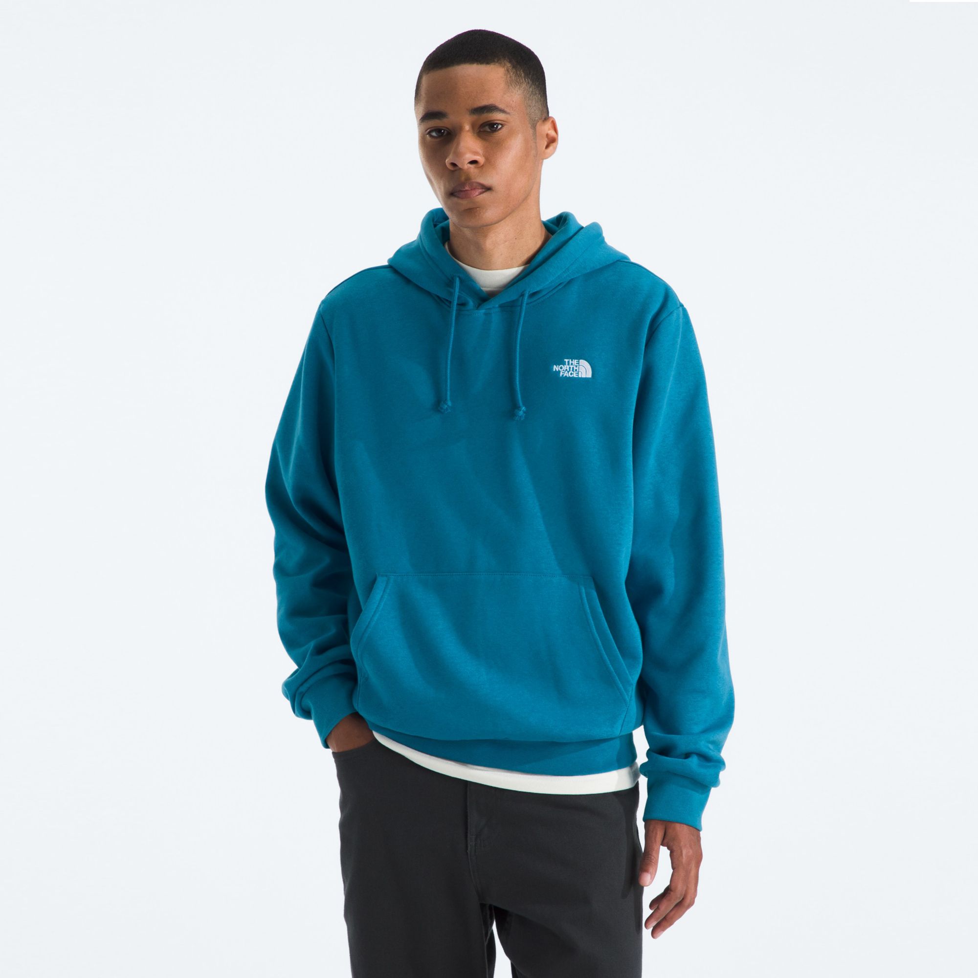 The North Face Men's Evolution Hoodie