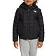 TNF Black