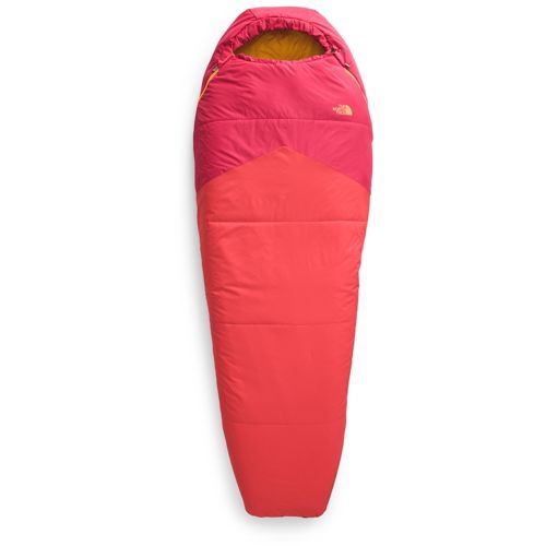 The North Face Wasatch Pro 40 Sleeping Bag | Dick's Sporting