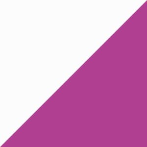 Tnf Whte/Prple Cctus Flwr