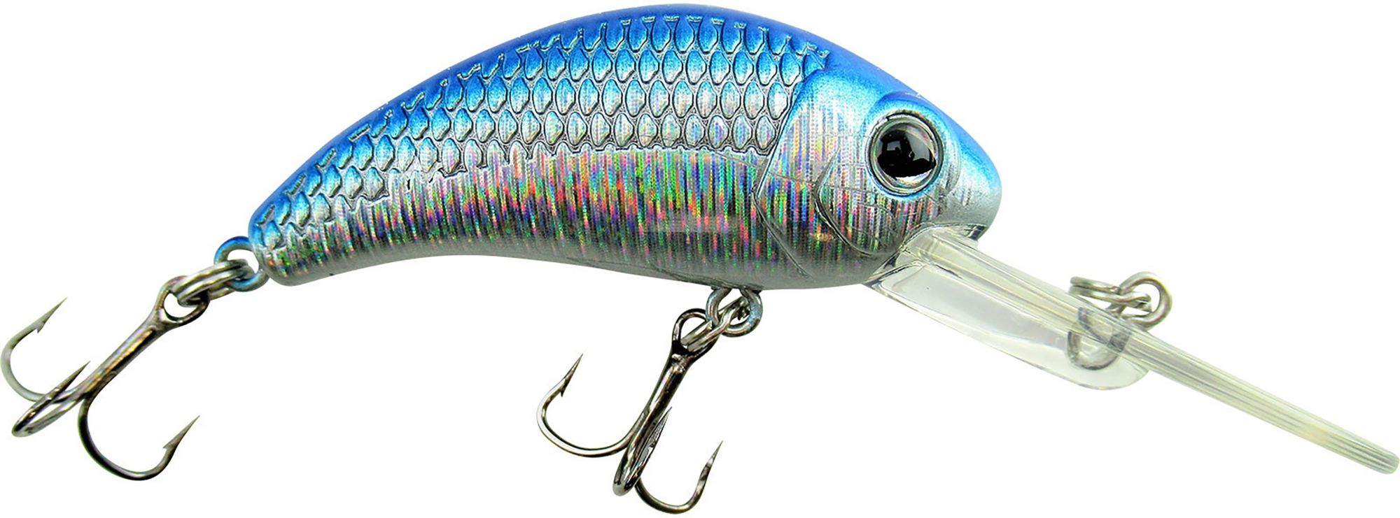 Blue Shiner