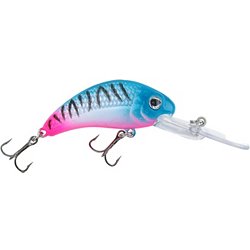  NAMOARLY 5 Pcs Artificial Fishing Lures Bucktail Lures Fishing  Accessories Fishing Bait Top Water Baits Saltwater Jigging Lures Rattle  Lure Head Hook Fish Lures Spiral Blood Tank Hook : Sports