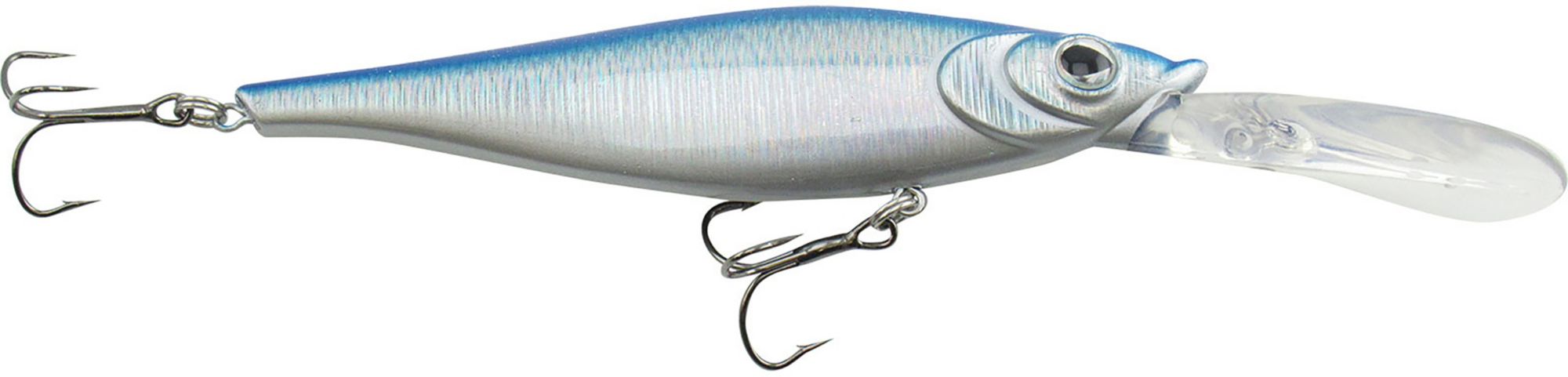 Blue Shiner
