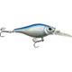 Blue Shiner