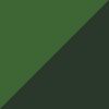 Green Belt/Green Canopy