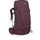 Elderberry Purple