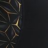 Black/Gold