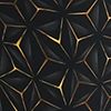 Black/Gold