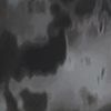 Dark Shadow