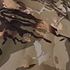 Ua Forest All Season Camo