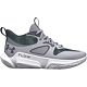 Gray/White
