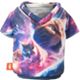 Space Cats