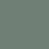 Dark Sage Green