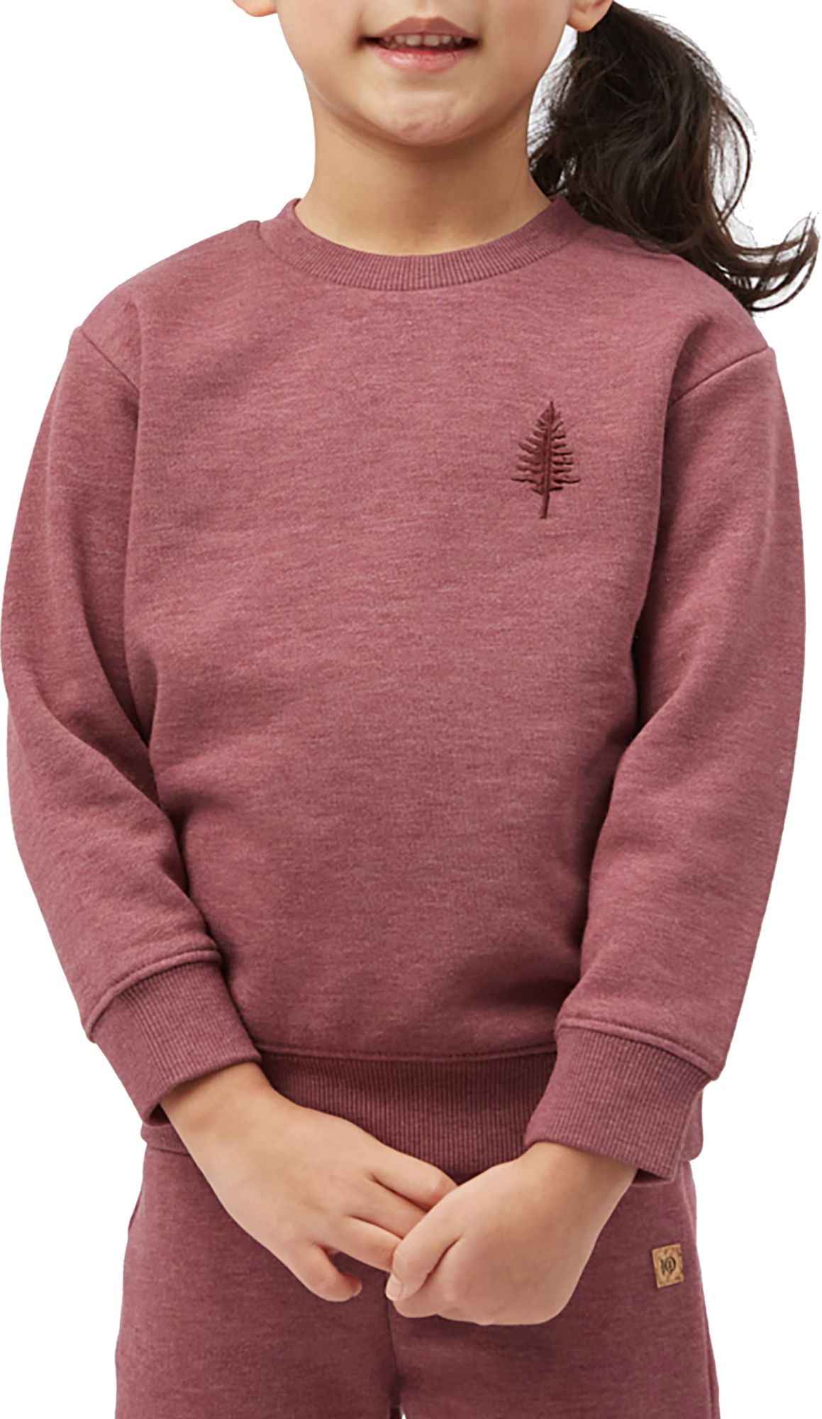 Tentree golden best sale spruce hoodie