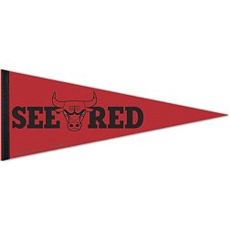 WinCraft Chicago Bulls "See Red" 2022 NBA Playoffs Pennant