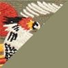 Caracaras