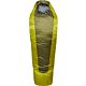 Chlorite Green