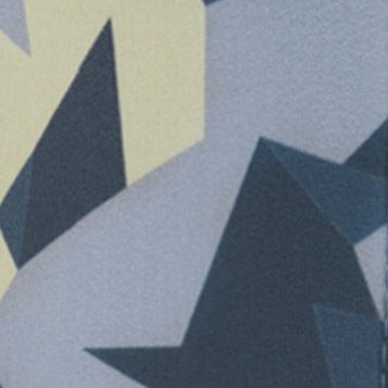 Blue Camo