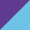 Pace Purple/Blue