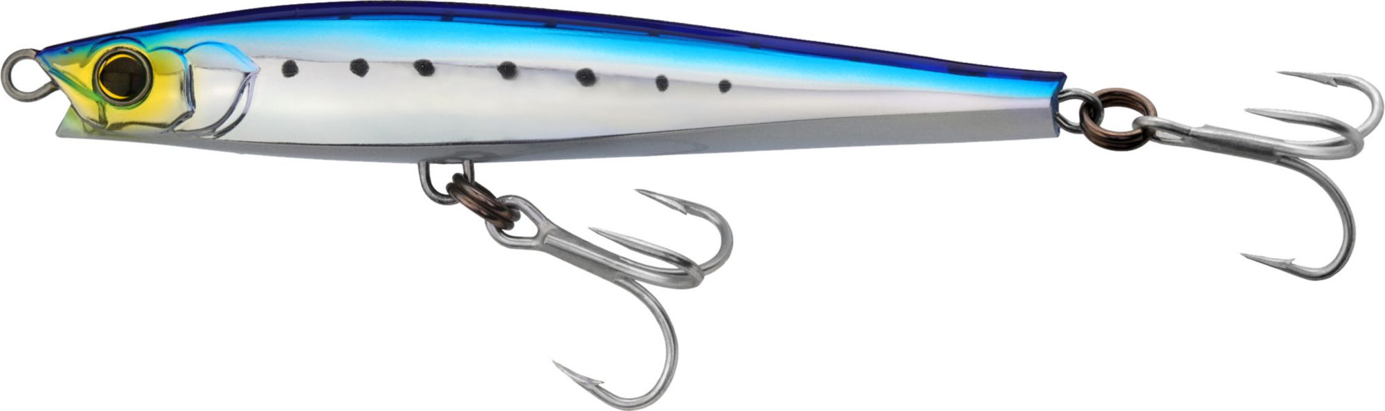 Sardine