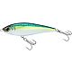 Green Mackerel