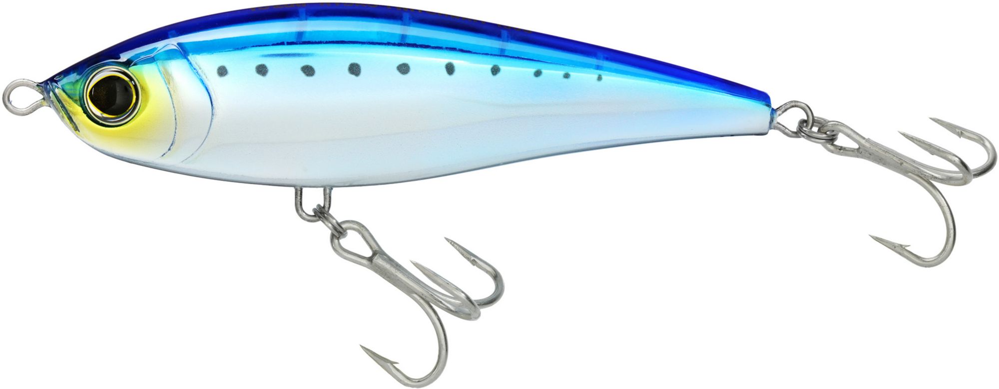 Sardine