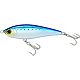 Sardine