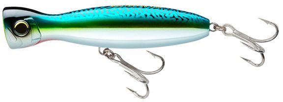 Green Mackerel