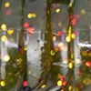 Canada Craw