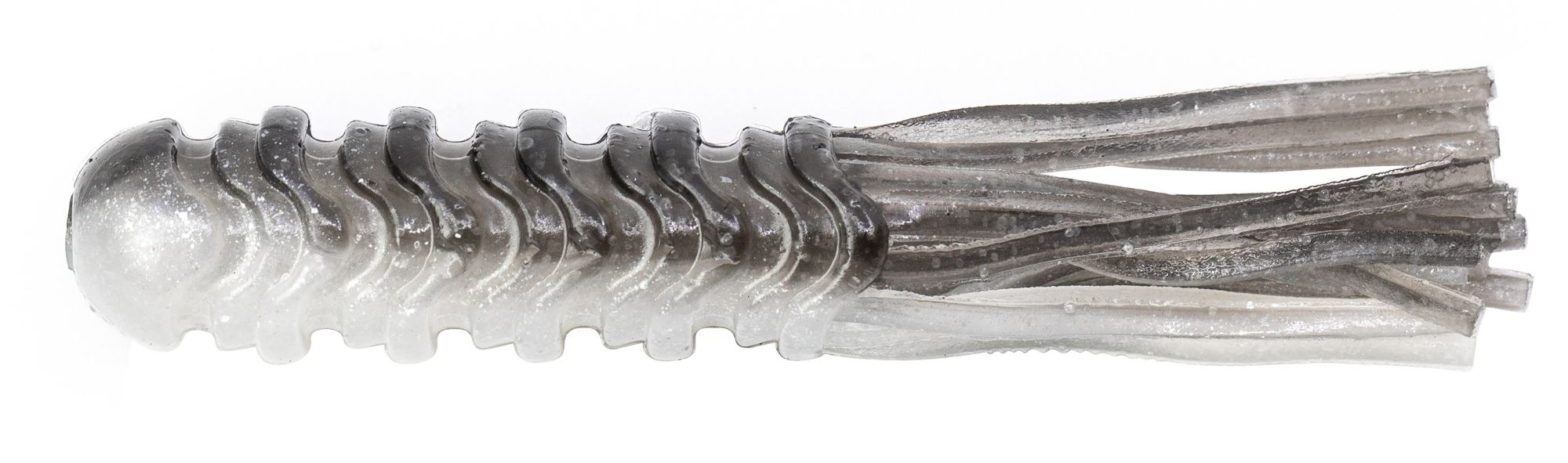 Mud Minnow