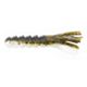 Smelt