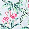 Flamingo Palm