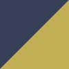 Navy/Gold
