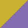 Purple/Gold