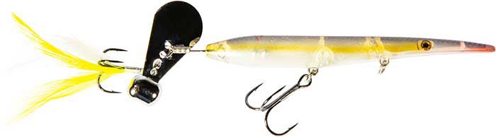 Chartreuse Shad
