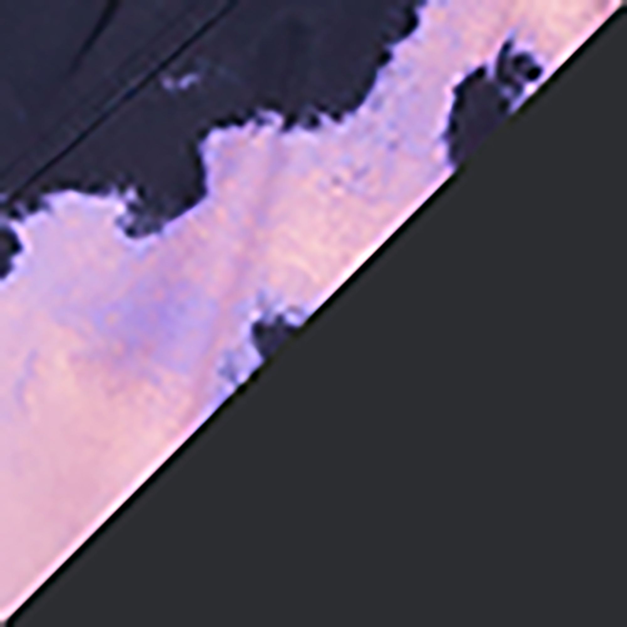 Black Violet Nebula